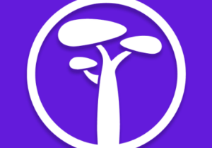 Logo de Baubap, plataforma digital de préstamos personales en México disponible por aplicación móvil.